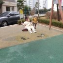 신혜어린이집 이미지