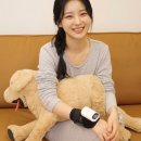 삼영전자 자유노동조합 | 힐로빔 스트랩빔 일주일 사용 후기 손목 팔꿈치 마사지기 추천 손목 통증 안녕