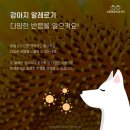 금릉동물의료센터