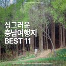 여름 숲, 짙은 녹음 속으로 떠나는 충남 여행지 BEST 11곳