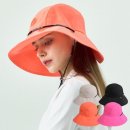 페르시안캣 이미지