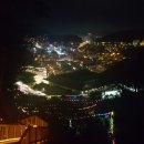 참존미용실