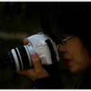 와룡자연휴양림 이미지