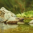 수채화의 세계1,2 이미지