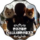 다소니펜션 이미지