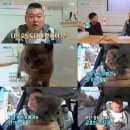 토토밤2