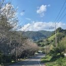 파인트리 스테이 | [광양] 뷰맛집인 감성숙소 신상풀빌라 : 파인트리스테이