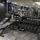 광화문역헬스장 탐방기: 도심 속 숨겨진 활력 충전소, 찐 후기 남겨요!