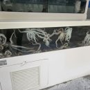 이가네낙지마당 이미지