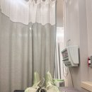 서울 해나무한의원 후기