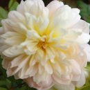 향스토리 이미지