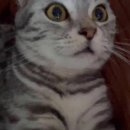 아이조아 요양보호소 경기광주 이미지