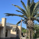 신도1400 이미지