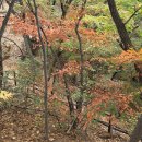 2026년10월19일(월)ᆢ서울 명산ㆍ♧도봉산(자운봉.740m)＞Y계곡＞하늘정원♧릿지 산행을 다녀와서ᆢ내 나이 61살때 이미지