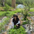 종환농장 이미지