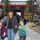 수련원야영장 이미지