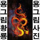 화룡 이미지