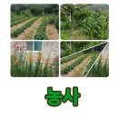 워니 농장 이미지