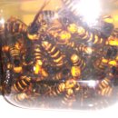 자산동203 이미지