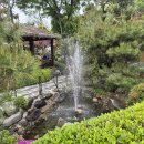 새벽밥상 | [남양주 한정식 맛집] 소리소 시골밥상 (오픈런 웨이팅 후기 아기랑 방문 새벽 영업)