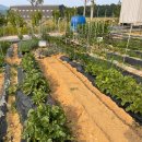 평화종묘사 이미지