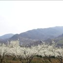 섬진강제첩국 이미지