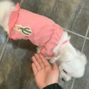 대구교대과학관 이미지