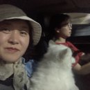 워너비핏 이미지