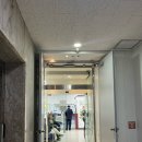 한피부과의원 | [비염 치료 후기] ‘명동 한피부과의원’ 방문 후기 (feat. 내돈내산, 대기시간)