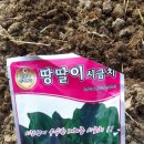 동해제탕원 네이버블로그