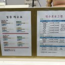 운동이 이렇게 재밌어도 되나 싶었던 동탄테니스 펀펀테니스 이용 후기