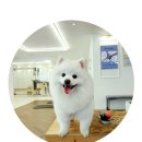 휘턴필라테스 - 북구 구암로 149 | 휘턴필라테스
