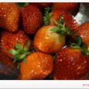 [남부] 홈베이킹 이미지