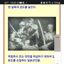 광복70주년 일본 36간 의 만행 이미지