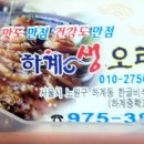 하계생오리 이미지