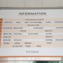 캣 미용실 이미지