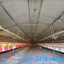 사계절양계장 이미지