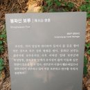 봉화산 보루 이미지