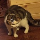 호야PC방 이미지