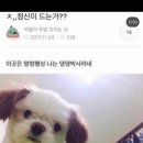 떡깨비 - 안양시 만안구 삼덕로 46-1 | 떡깨비