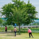 하천(유등천4) 이미지