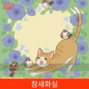 2019 지구정복 슈퍼캣페스타 참여 업체 정보 정리