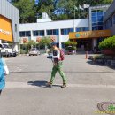 구미 비봉산 이미지