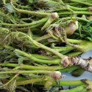 한누리 영농조합법인 이미지