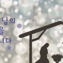 평화성물