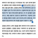 유도 허미미 선수가 독립운동가 후손임이 밝혀진 사연 이미지