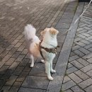 성의세탁소 | 달력 넘기기 전, 9월의 요모조모