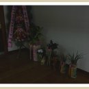 신안동주민센터-2 Daum카페