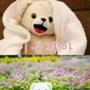 엄마손 보리밥 칼국수 네이버블로그