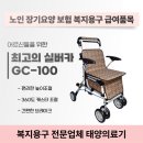 금산 효도 복지용구의료기 | [천안/아산] 안전한 보행을 돕는 필수 복지용품성인용 보행기 실버카 GC-100 소개
